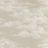 Silvi Clouds 216600
